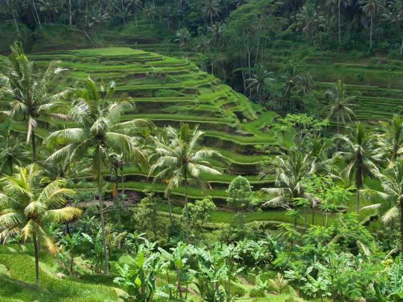 Bali, Indonesia